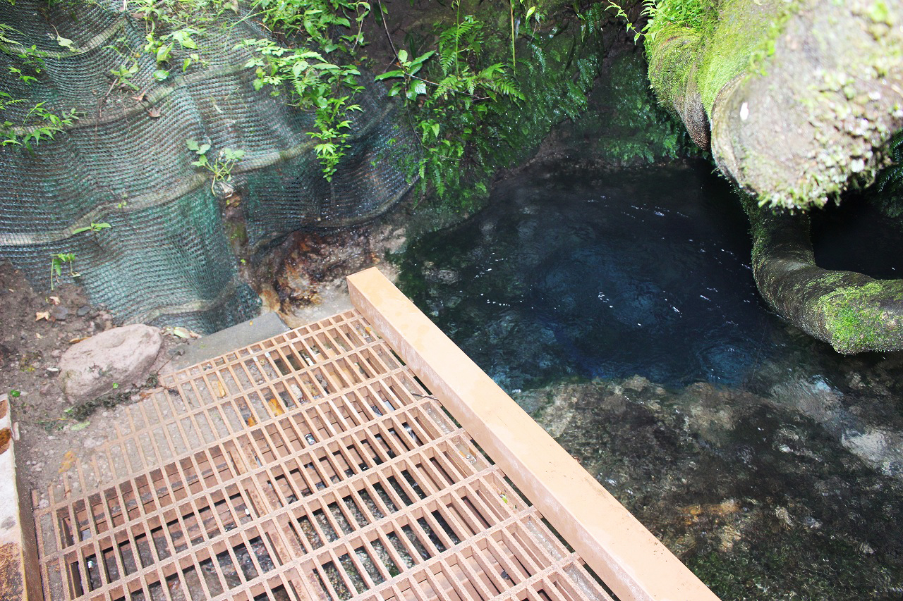 大出水の湧水2